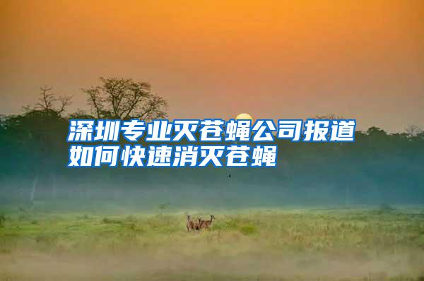 深圳專業(yè)滅蒼蠅公司報道如何快速消滅蒼蠅