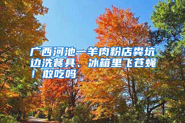 廣西河池一羊肉粉店糞坑邊洗餐具、冰箱里飛蒼蠅!敢吃嗎