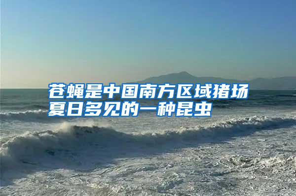 蒼蠅是中國南方區(qū)域豬場夏日多見的一種昆蟲