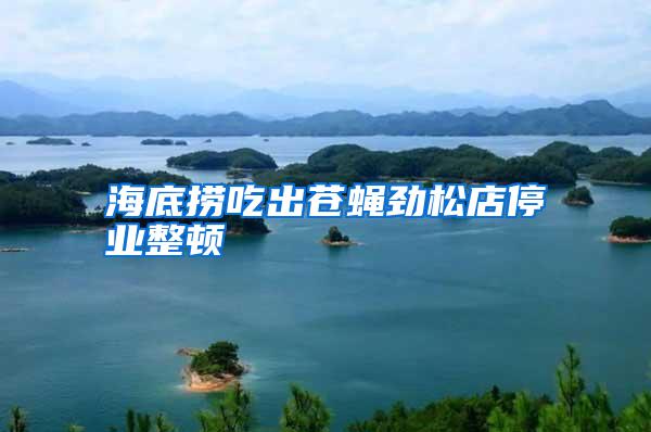 海底撈吃出蒼蠅勁松店停業整頓