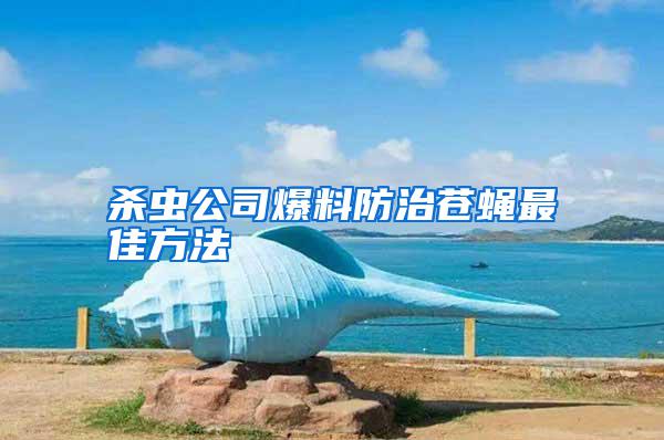 殺蟲公司爆料防治蒼蠅最佳方法