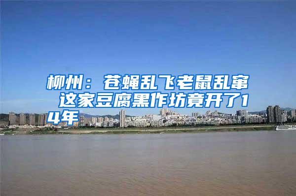 柳州：蒼蠅亂飛老鼠亂竄 這家豆腐黑作坊竟開(kāi)了14年