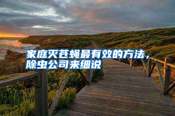 家庭滅蒼蠅最有效的方法，除蟲公司來細說