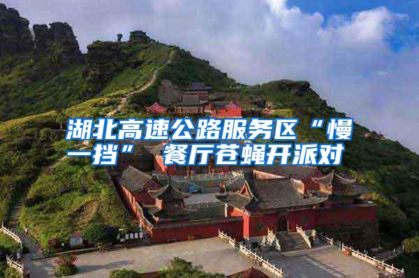 湖北高速公路服務區(qū)“慢一擋” 餐廳蒼蠅開派對