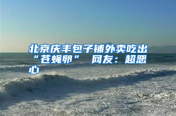 北京慶豐包子鋪外賣吃出“蒼蠅卵” 網(wǎng)友:超惡心