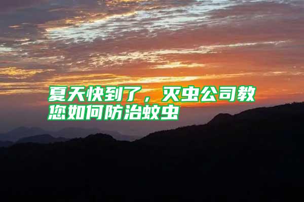 夏天快到了,滅蟲公司教您如何防治蚊蟲