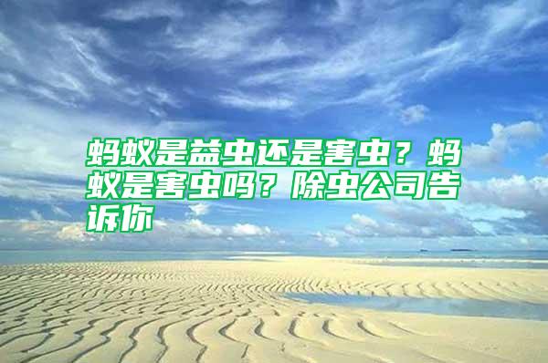 螞蟻是益蟲還是害蟲？螞蟻是害蟲嗎？除蟲公司告訴你