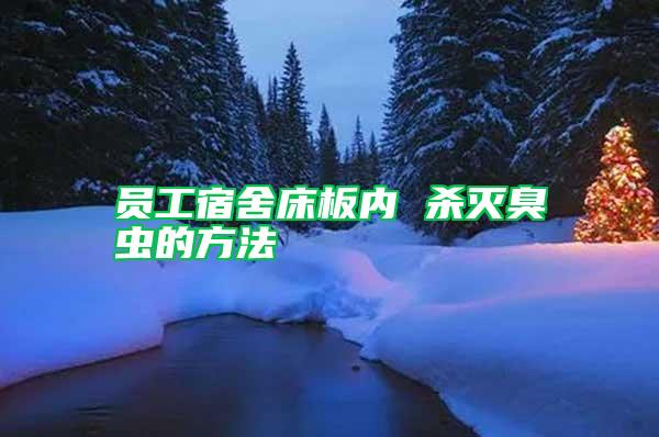 員工宿舍床板內 殺滅臭蟲的方法