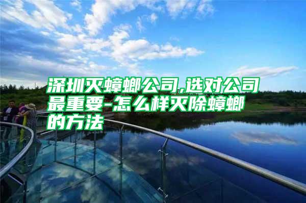 深圳滅蟑螂公司,選對(duì)公司最重要-怎么樣滅除蟑螂的方法