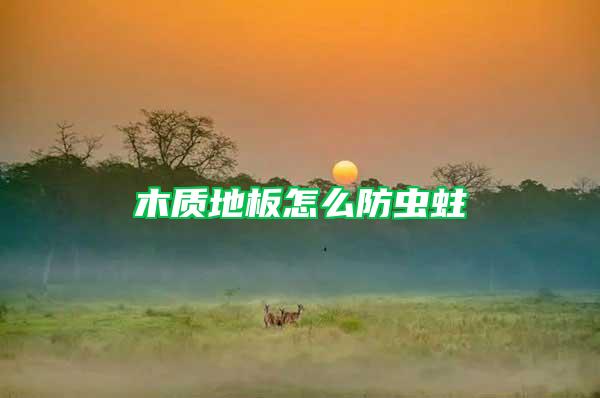 木質地板怎么防蟲蛀