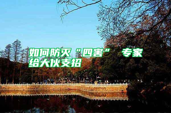 如何防滅“四害” 專家給大伙支招