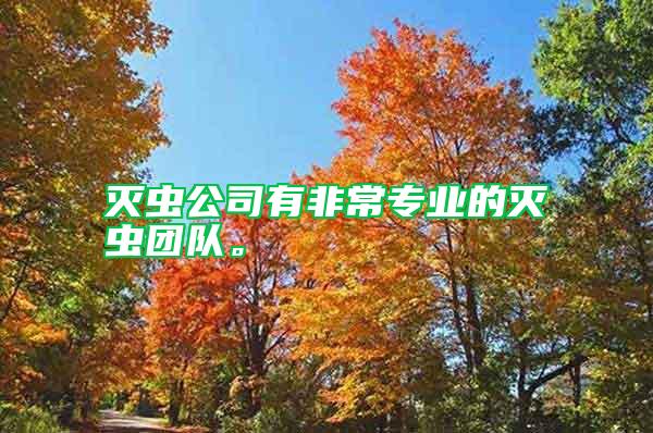 滅蟲公司有非常專業(yè)的滅蟲團(tuán)隊(duì)。