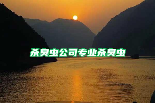 殺臭蟲(chóng)公司專(zhuān)業(yè)殺臭蟲(chóng)