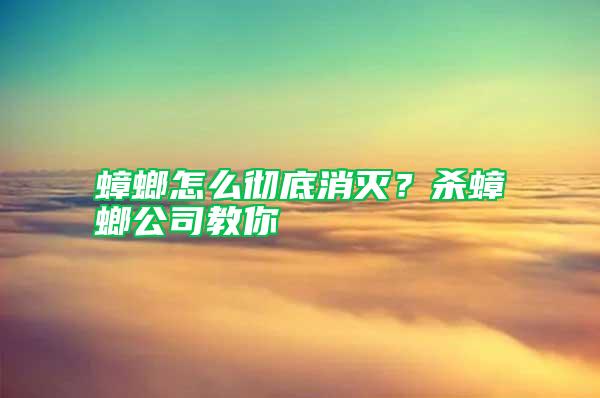 蟑螂怎么徹底消滅?殺蟑螂公司教你