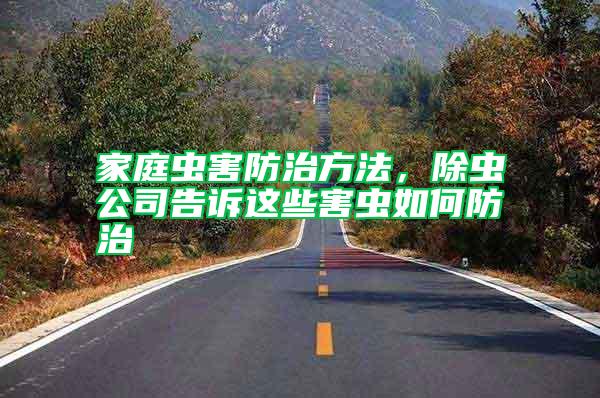 家庭蟲害防治方法,除蟲公司告訴這些害蟲如何防治