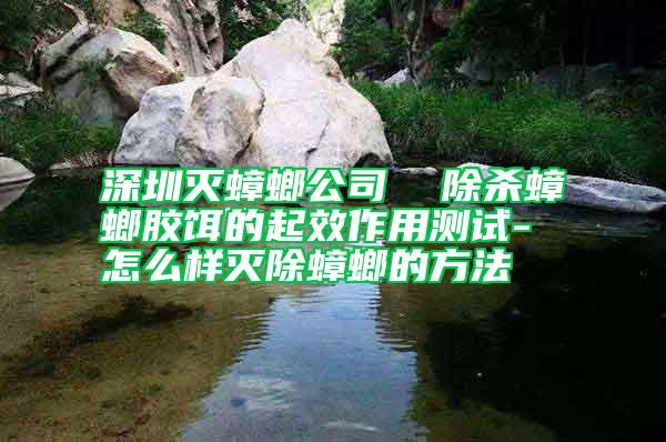 深圳滅蟑螂公司 除殺蟑螂膠餌的起效作用測試-怎么樣滅除蟑螂的方法