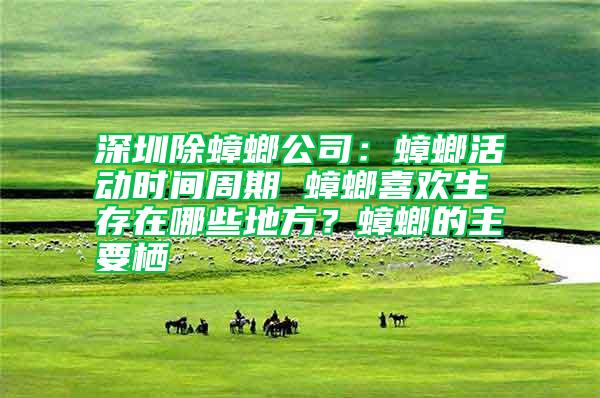 深圳除蟑螂公司：蟑螂活動時間周期 蟑螂喜歡生存在哪些地方？蟑螂的主要棲