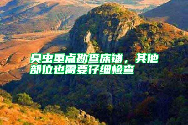 臭蟲重點勘查床鋪，其他部位也需要仔細檢查