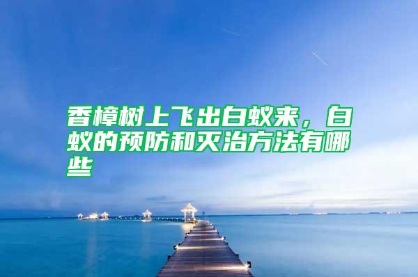 香樟樹上飛出白蟻來,白蟻的預(yù)防和滅治方法有哪些