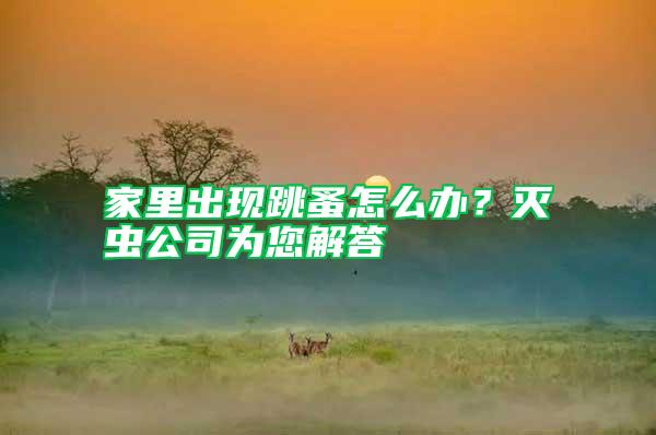 家里出現跳蚤怎么辦?滅蟲公司為您解答