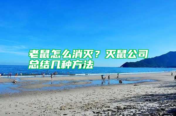 老鼠怎么消滅?滅鼠公司總結幾種方法