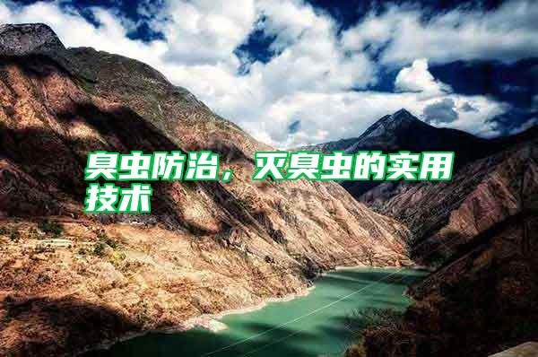 臭蟲防治,滅臭蟲的實用技術(shù)