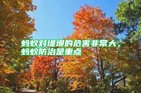 螞蟻對堤壩的危害非常大,螞蟻防治是重點