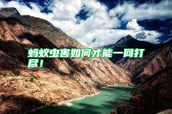 螞蟻蟲害如何才能一網(wǎng)打盡！