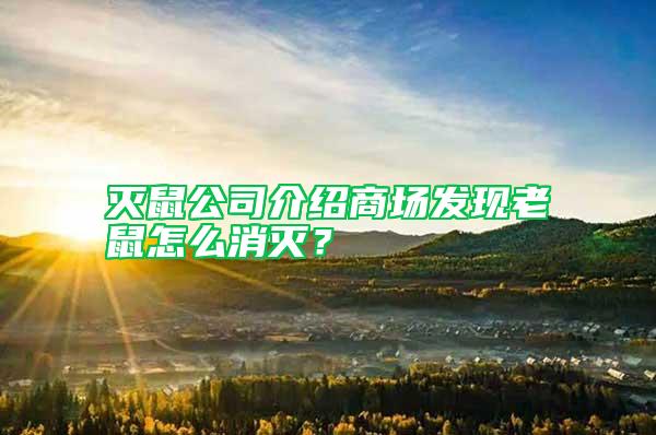滅鼠公司介紹商場發(fā)現(xiàn)老鼠怎么消滅?
