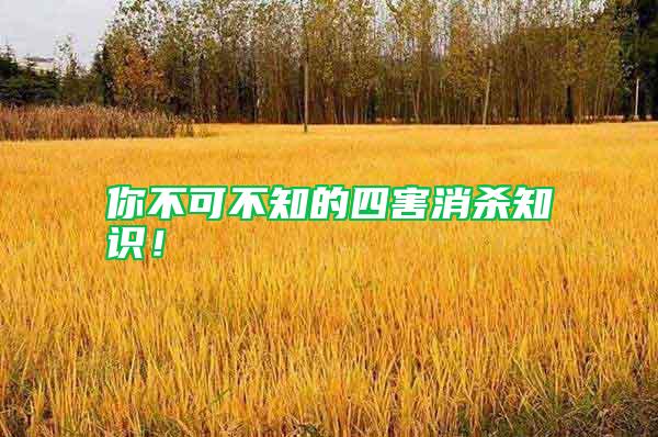 你不可不知的四害消殺知識!