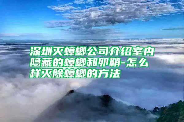 深圳滅蟑螂公司介紹室內(nèi)隱藏的蟑螂和卵鞘-怎么樣滅除蟑螂的方法