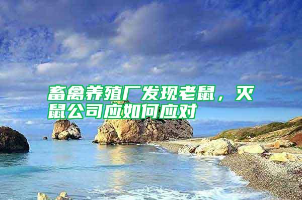 畜禽養(yǎng)殖廠發(fā)現(xiàn)老鼠,滅鼠公司應(yīng)如何應(yīng)對