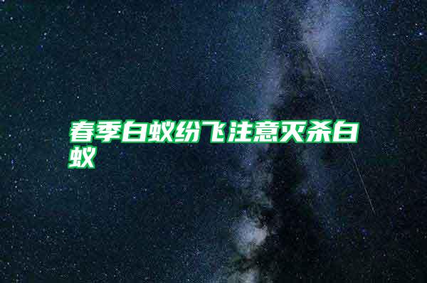 春季白蟻紛飛注意滅殺白蟻
