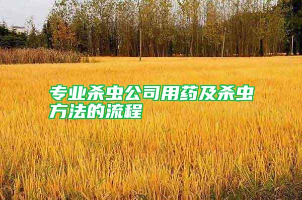 專業殺蟲公司用藥及殺蟲方法的流程