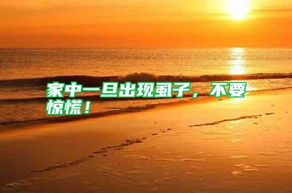 家中一旦出現虱子，不要驚慌！