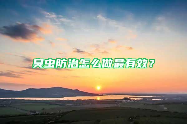 臭蟲防治怎么做最有效？