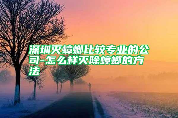 深圳滅蟑螂比較專業(yè)的公司-怎么樣滅除蟑螂的方法