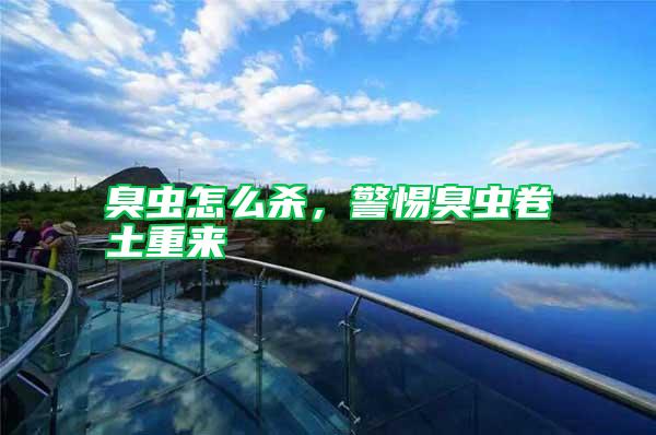 臭蟲怎么殺，警惕臭蟲卷土重來