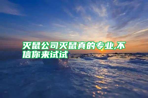 滅鼠公司滅鼠真的專業,不信你來試試