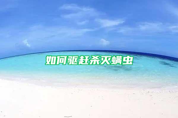 如何驅趕殺滅螨蟲