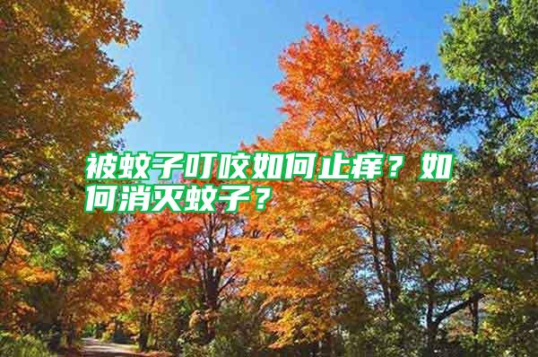 被蚊子叮咬如何止癢？如何消滅蚊子？