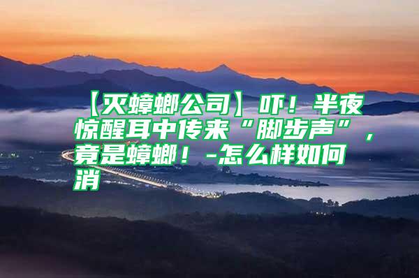 【滅蟑螂公司】嚇!半夜驚醒耳中傳來(lái)“腳步聲”,竟是蟑螂!-怎么樣如何消