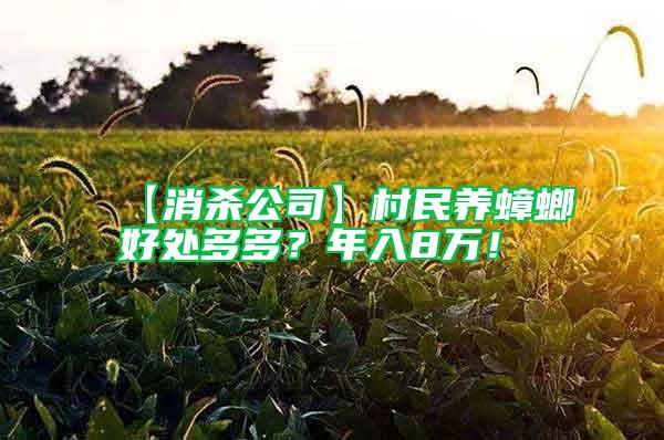 【消殺公司】村民養(yǎng)蟑螂好處多多?年入8萬(wàn)!