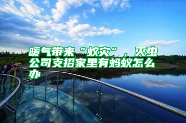 暖氣帶來“蟻災”,滅蟲公司支招家里有螞蟻怎么辦