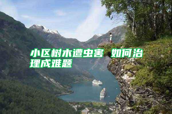 小區(qū)樹(shù)木遭蟲害 如何治理成難題