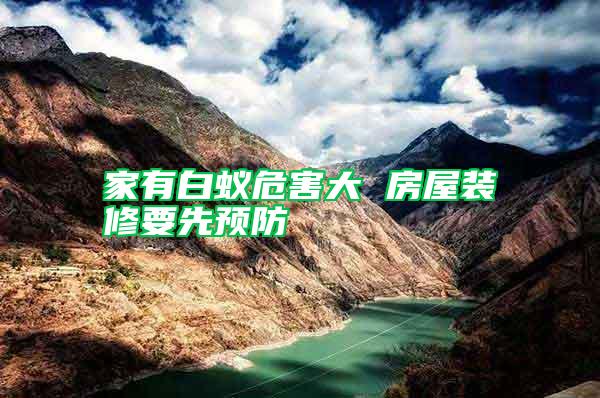 家有白蟻危害大 房屋裝修要先預防