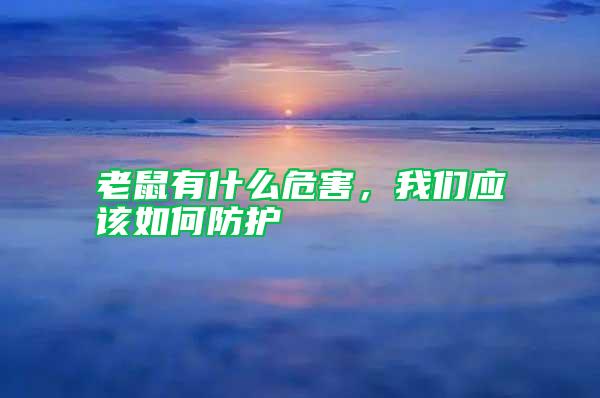 老鼠有什么危害,我們應(yīng)該如何防護