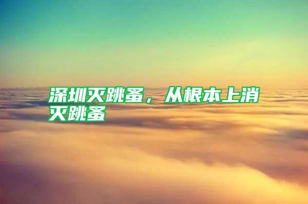 深圳滅跳蚤,從根本上消滅跳蚤