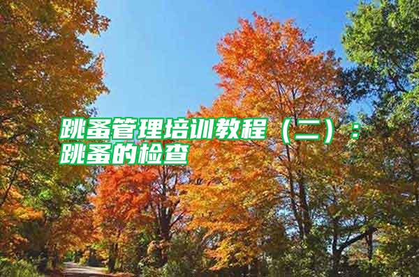 跳蚤管理培訓教程(二):跳蚤的檢查