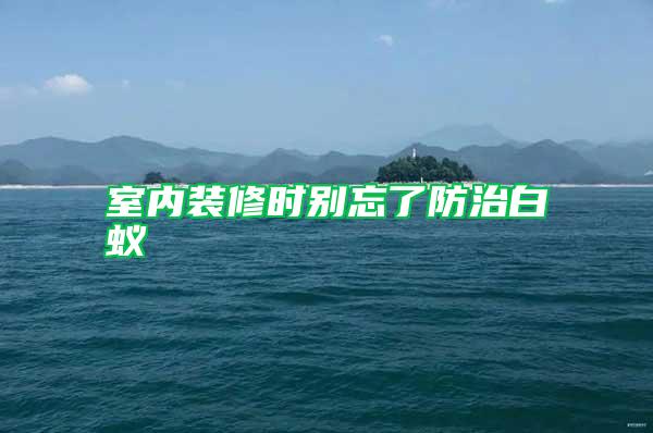 室內裝修時別忘了防治白蟻